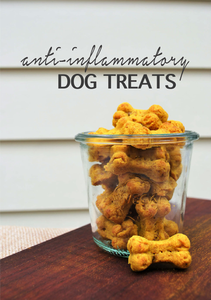 anti-inflammatory dog treat